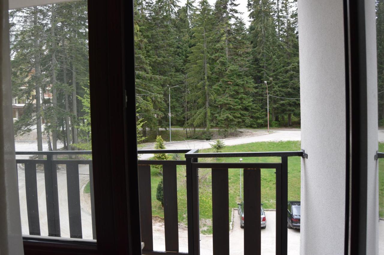 Borovets Holiday Apartments - Different Locations In Borovec Kültér fotó