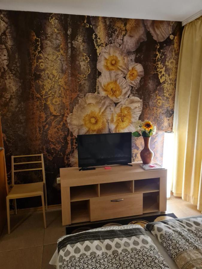 Borovets Holiday Apartments - Different Locations In Borovec Kültér fotó